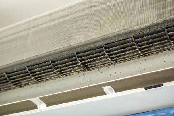Best Best Air Duct Cleaning Company  in Otterbe, IN